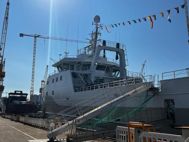 «Hadassa Bay», acción de rebrotar