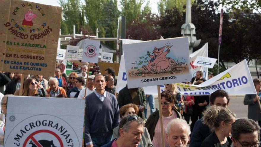 Manifestación contra las macrogranjas del pasado sábado en Zamora.