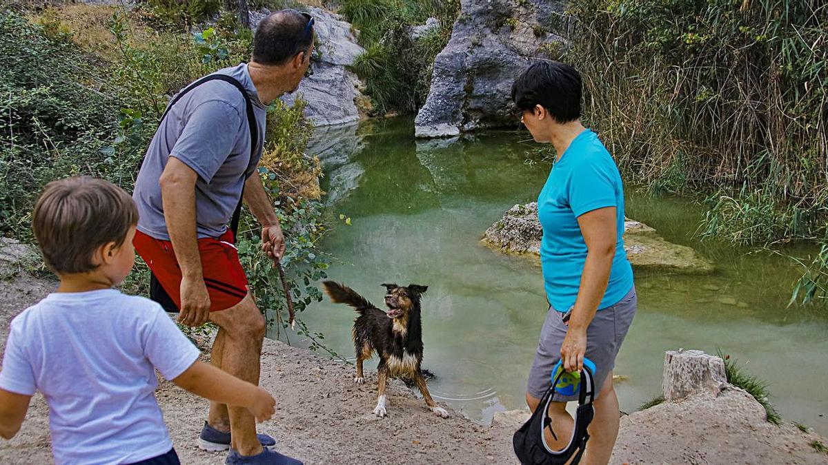 Una familia lanza un palo al agua a su perro. | JUANI RUZ