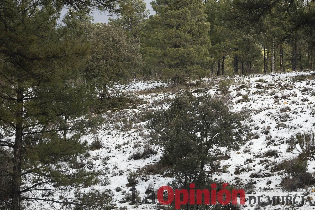 La borrasca Herminia tiñe de blanco la cima de la Región de Murcia