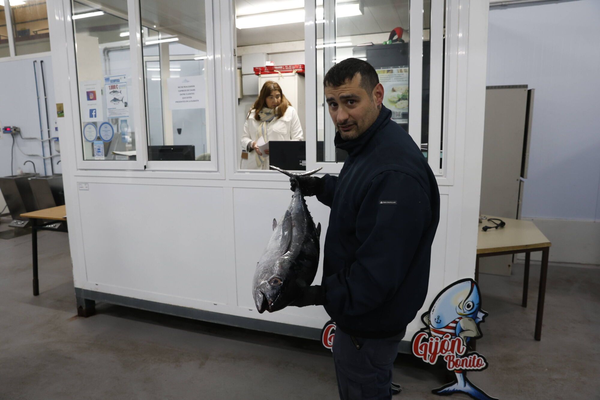 EN IMÁGENES: La campaña de bonito arranca en la lonja de Gijón con una descarga de 2.800 kilos: "El pescado está cambiando las rutinas"