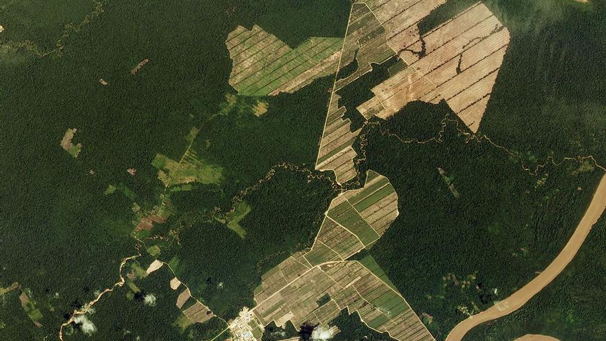 Deforestación en la amazonía boliviana