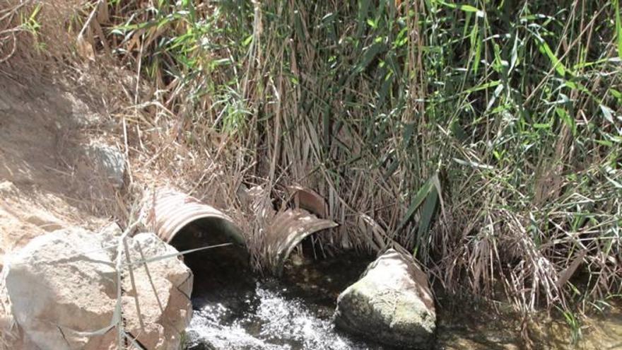 El fiscal comienza con la recogida de muestras de agua del Mar Menor