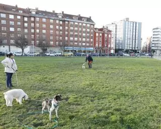 El 40% de las multas por perros fue por estar sueltos fuera de zonas acotadas