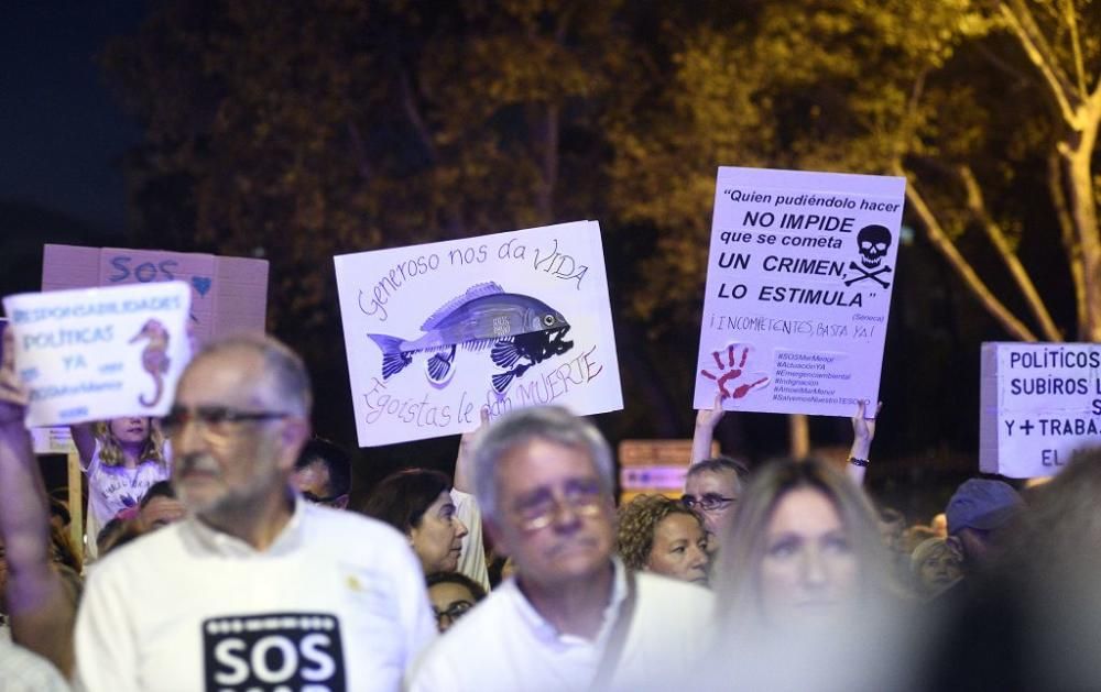 Manifestación en Cartagena: 55.000 personas claman por el Mar Menor (II)