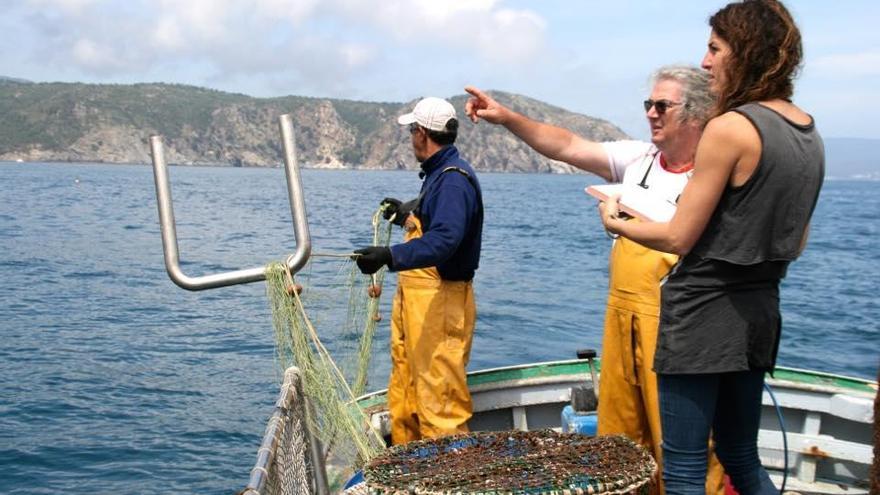 Una imatge d&#039;arxiu del retorn al mar de les gorgònies