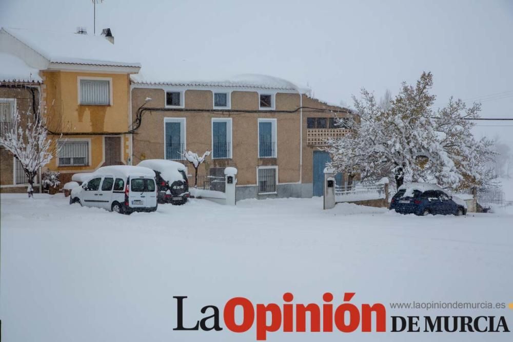 Nieve en El Sabinar (Moratalla)
