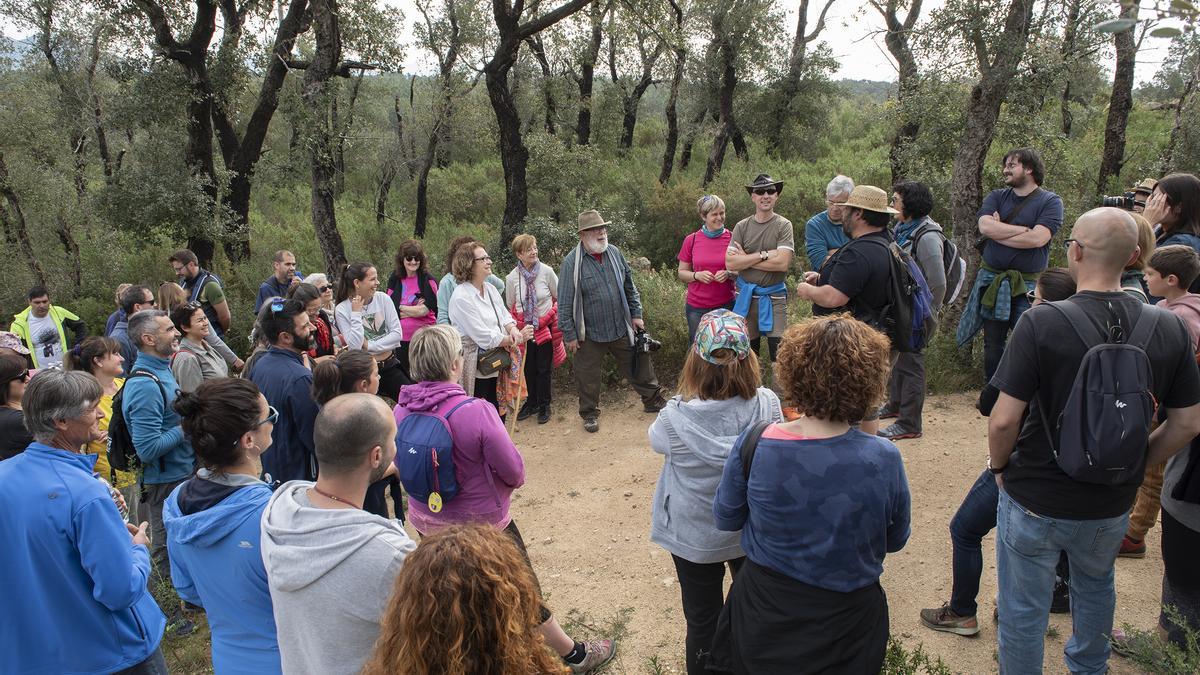 Visites guiades per Capmany