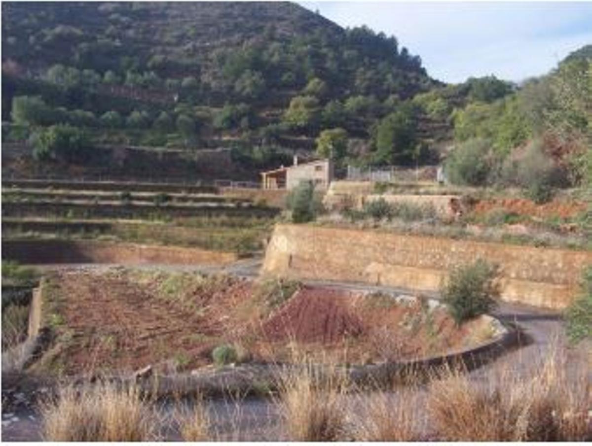 Entorno de la zona donde se proyecta el centro de tratamiento de psicología.