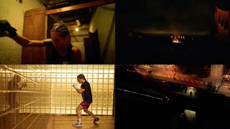 La FTCV impulsa un evento especial en el cine ABC Park por el Día Mundial contra la LGTBIfobia en el Deporte