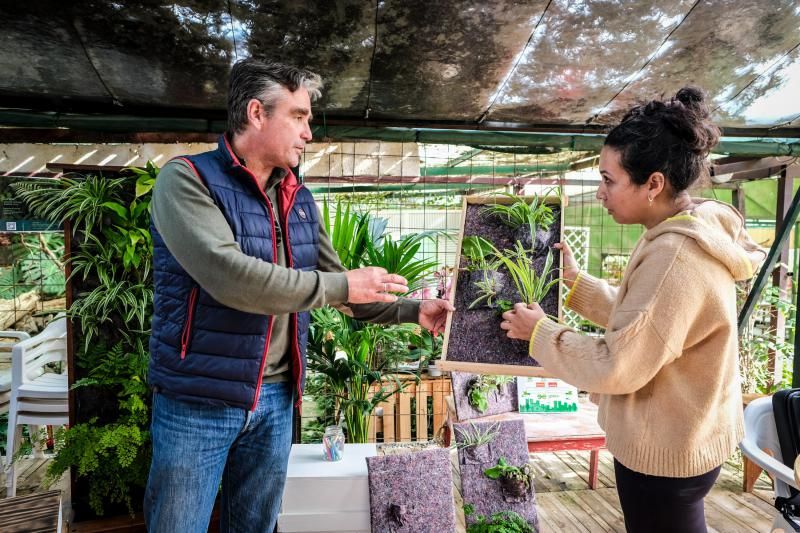 Ganador de Greenweekend Canarias, Pulmón Verde Canario