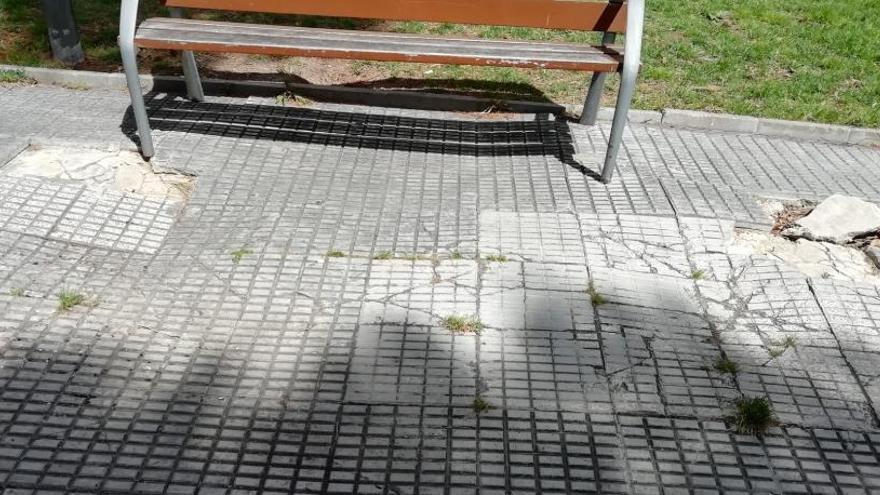 Más de 400 vecinos de Sant Joan exigen medidas contra piojos y garrapatas en un parque