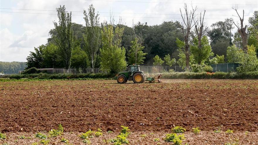 El Gobierno prorroga hasta el 15 de junio el plazo de presentación de la solicitud única de ayudas de la PAC