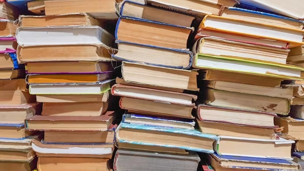 La solicitud financiará hasta el 80% de la actividad subvencionada