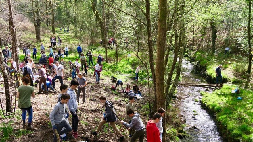 Participantes en la plantación que se llevó a cabo en Paradela, en Ponte Caldelas