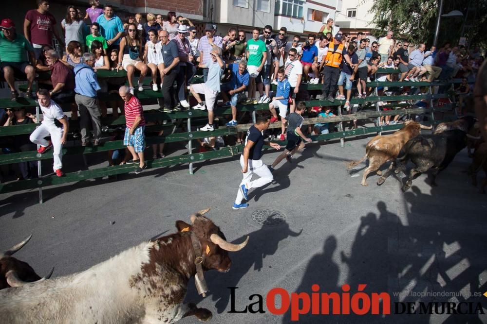 Cuarto encierro de Calasparra