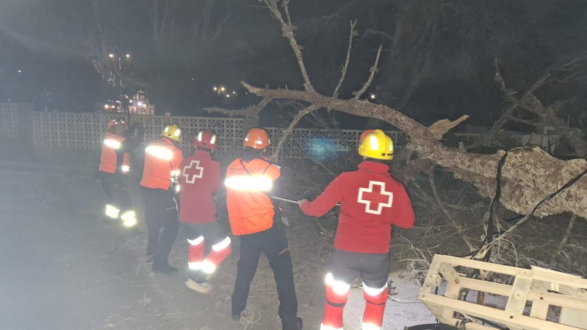 Operarios trabajan de madrugada en la zona donde cayeron los árboles en Águilas por la fuerza de 'Herminia'.