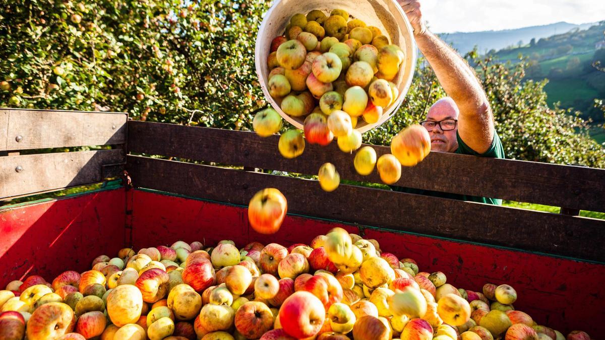 La sidra asturiana: un homenaje a la amistad y a la vida