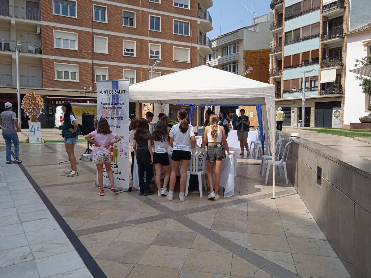 Galería: Jornadas de Alcer Castalia.