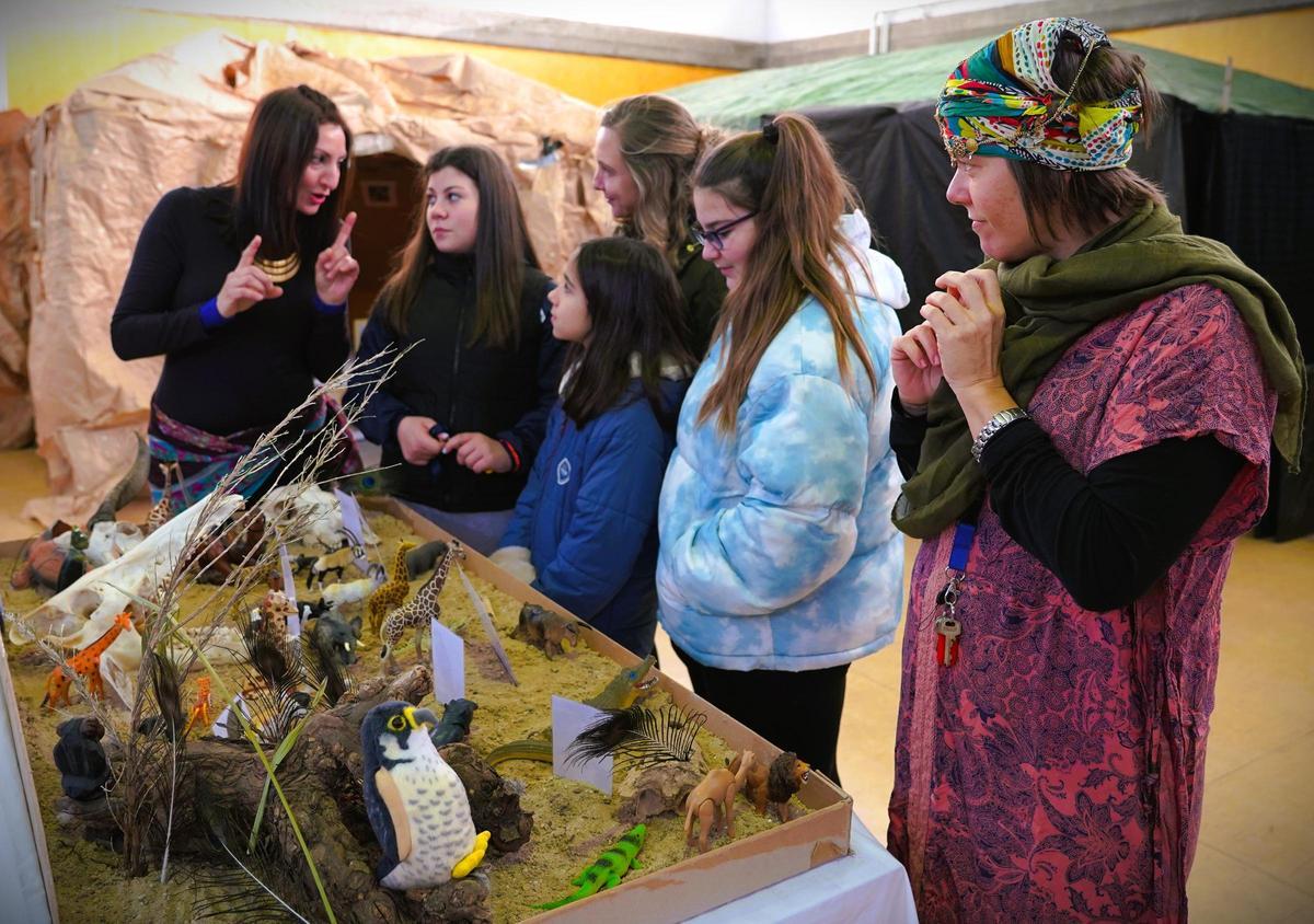 instituto casteas egipcio.JPG instituto casteas egipcio.JPG