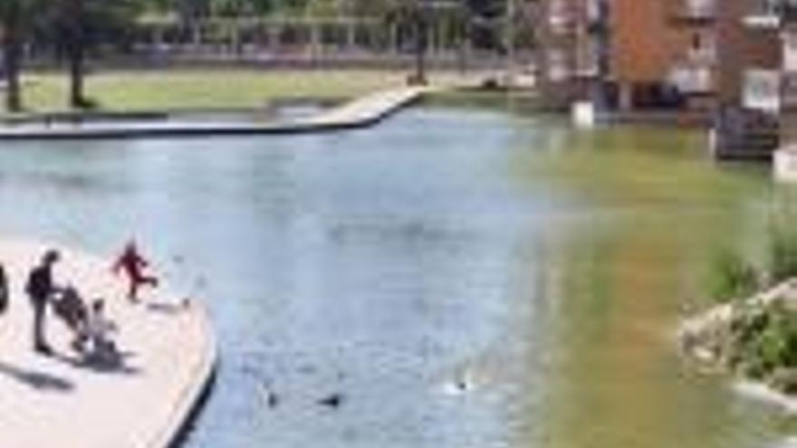 Girona buidarà i netejarà el llac del parc del Migdia en els pròxims 15 dies