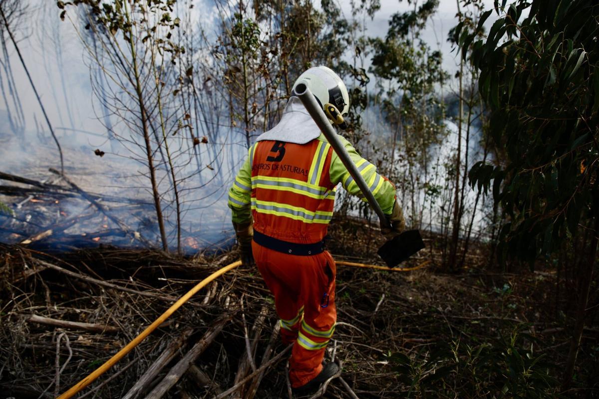 Incendio en Monte Areo el pasado mes de octubre.