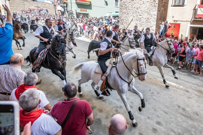 Galería de fotos de la última Entrada de Toros y Caballos de Segorbe