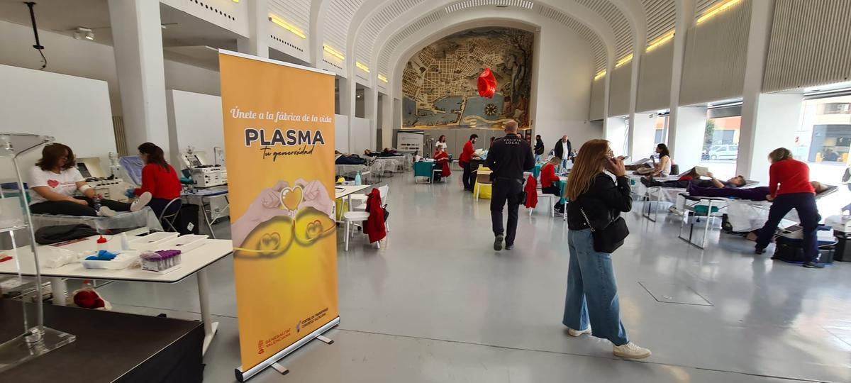 Alicante promueve la donación de sangre con una maratón en el Espacio Séneca el próximo 17 de marzo