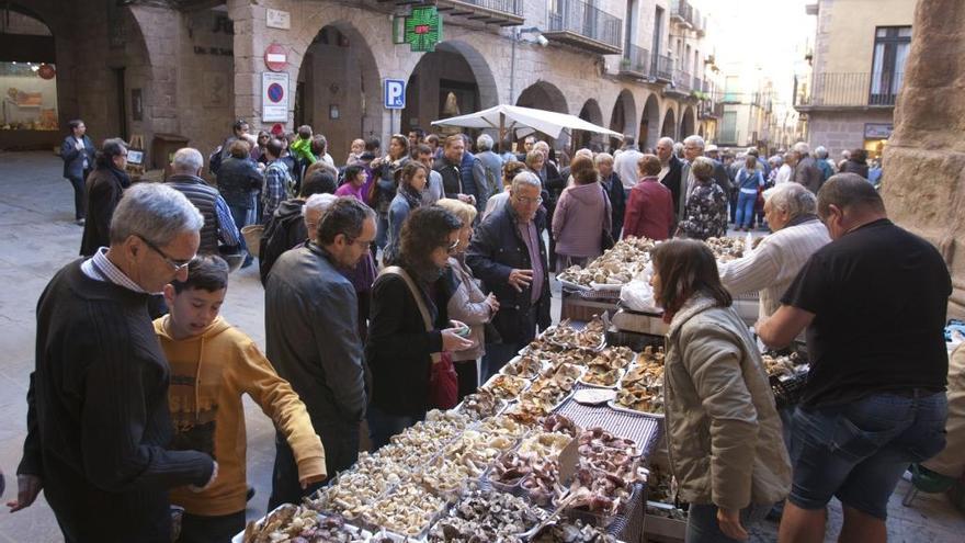 Cardona mostra diumenge el món del bolet a la Fira de la Llenega