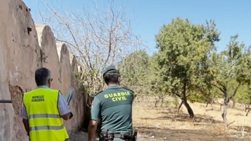 La Guardia Civil clausura un matadero clandestino en Palma