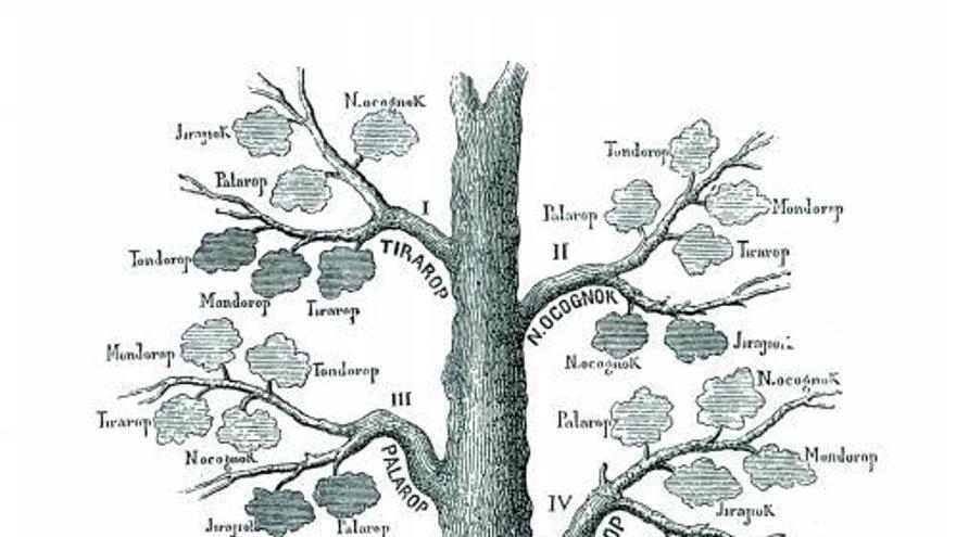 Árbol genealógico de aborígenes