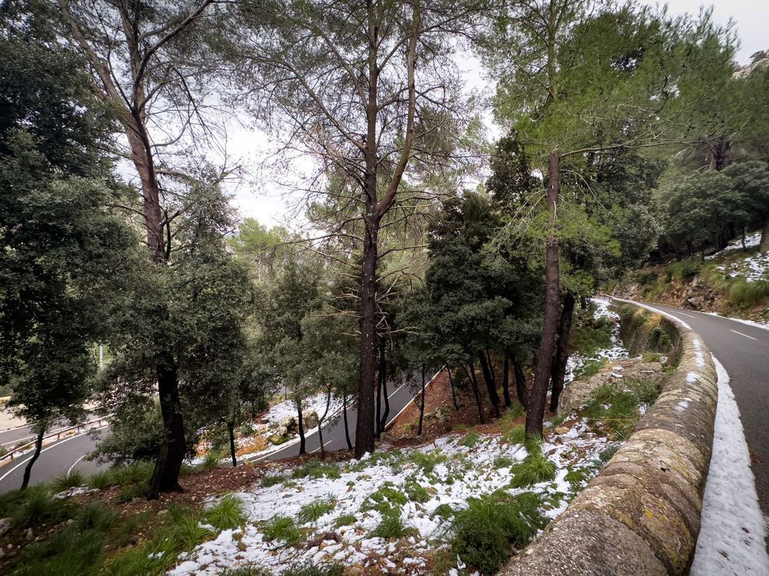 So erleben die Menschen den Schnee auf Mallorca