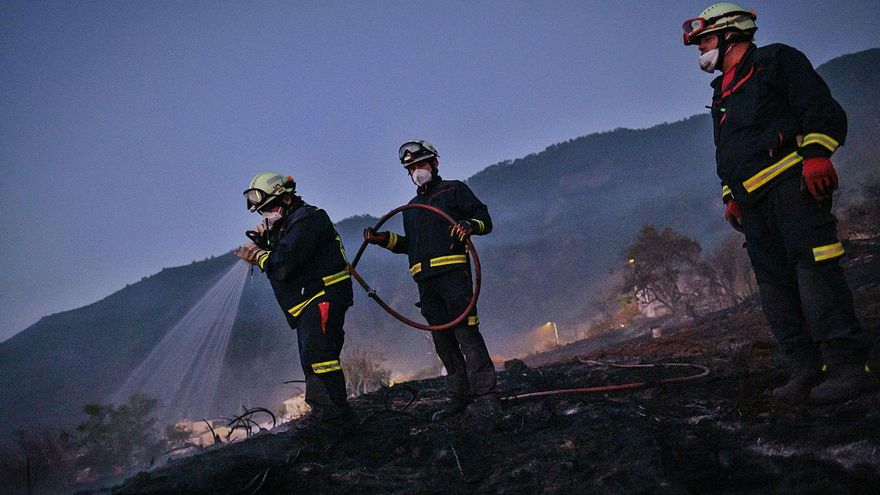 The Cabildo de Tenerife confirms that the fire in the Pinolere neighborhood was “caused”