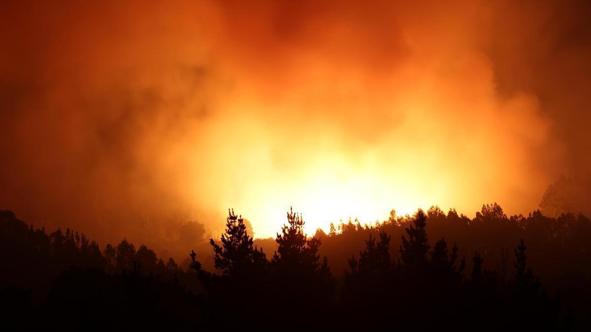 Crean una IA que predice los incendios más peligrosos con hasta 16 días de antelación