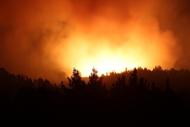 Una IA creada en España puede anticipar un incendio forestal hasta 16 días antes