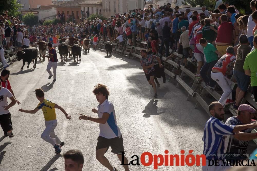 Segundo encierro de Calasparra