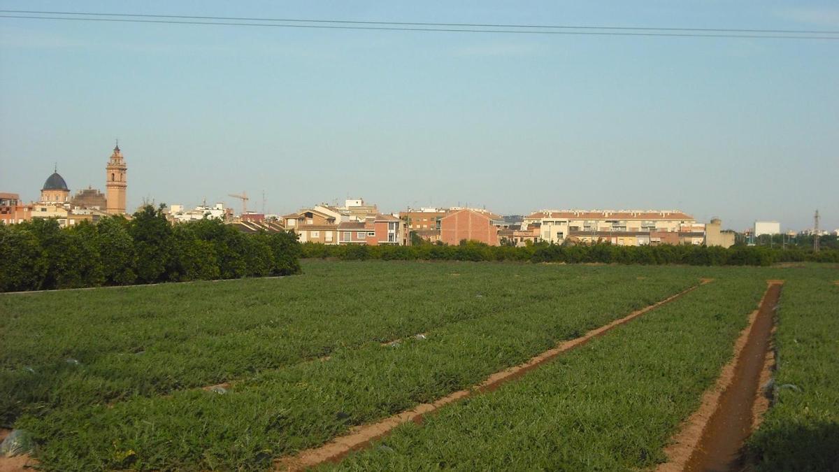 La Huerta de Foios