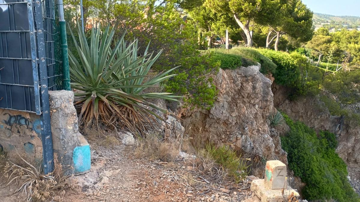Las plantas que obstaculizan el paso al otro lado de la barrera que fue retirada en 2018