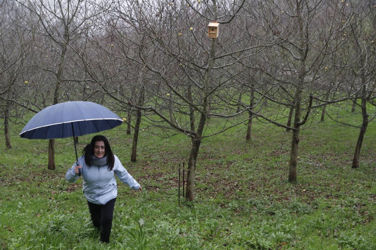 Chelo Areces en su pomarada junto a una de las casas nido.
