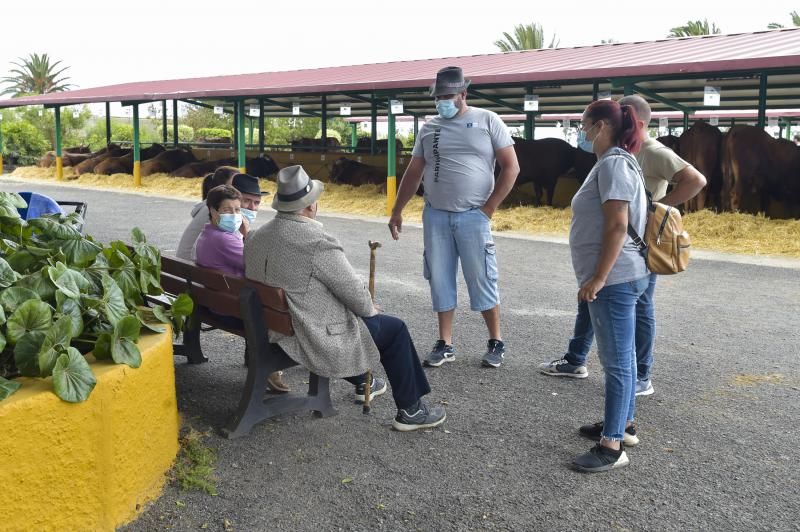 Feria y concurso de Ganado de Gran Canaria