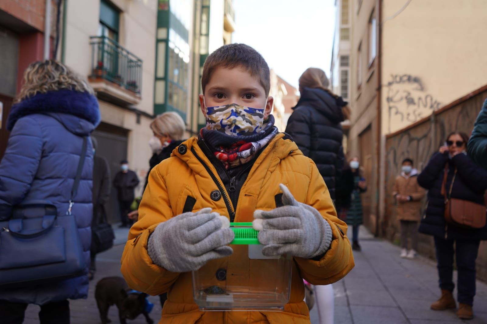 GALERÍA | ¡Benditos animales! Las pequeñas fieras reciben la bendición por San Antón en Zamora