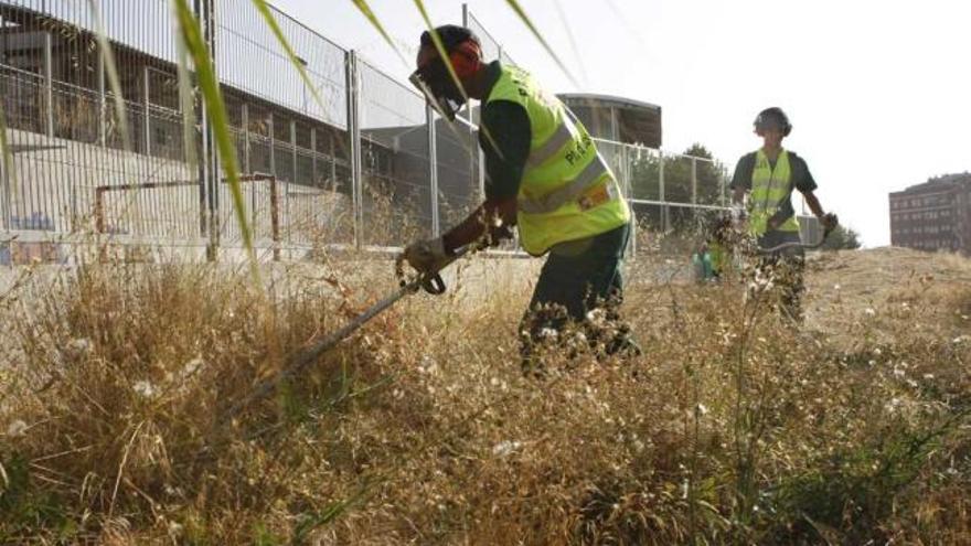 Un grupo de brigadistas trabajando en el desbroce de terrenos en la zona del Ensanche.