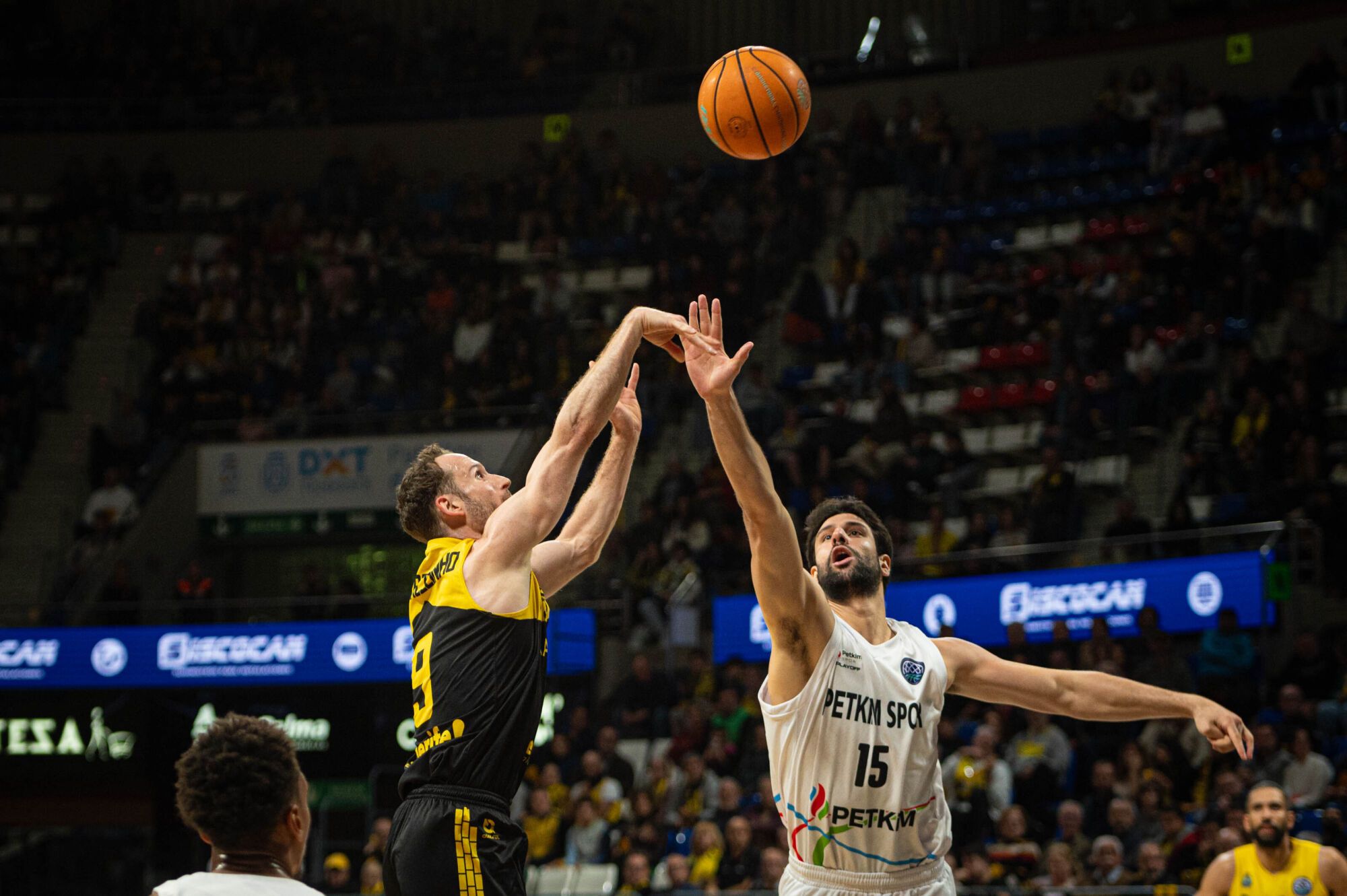 Basketball Champions League: La Laguna Tenerife - Aliaga Petkim Sport 