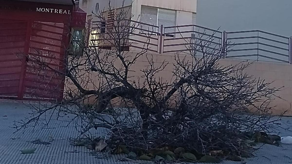 Las fuertes rachas de viento alargan la alerta en Alicante