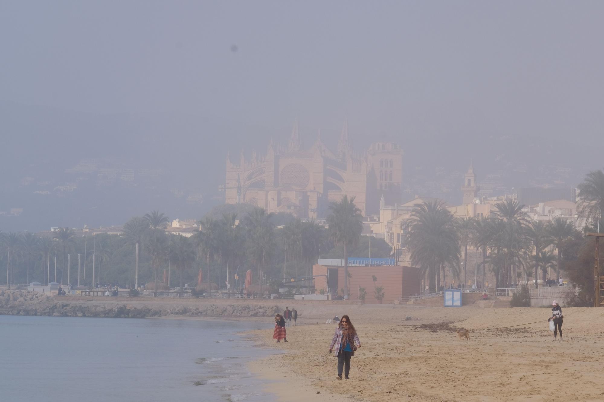 FOTOS | Mallorca amanece cubierta de niebla