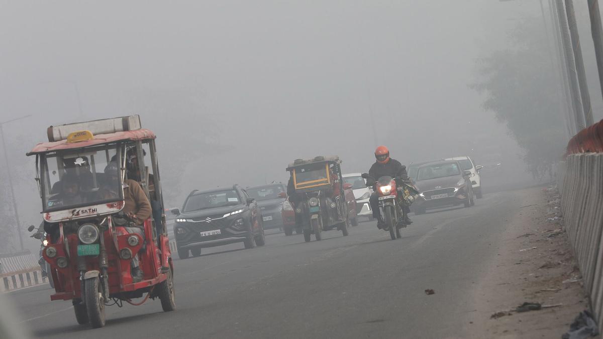 EFE/EPA/HARISH TYAGI