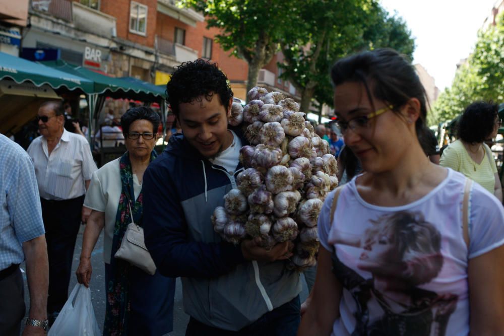 San Pedro 2016: Feria del Ajo