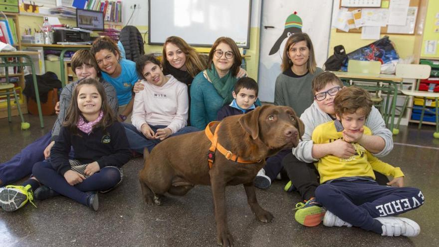 Alumnos y profesores junto a la perra Bimba durante una clase.