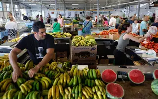 Mercadillo del Agricultor de Tacoronte