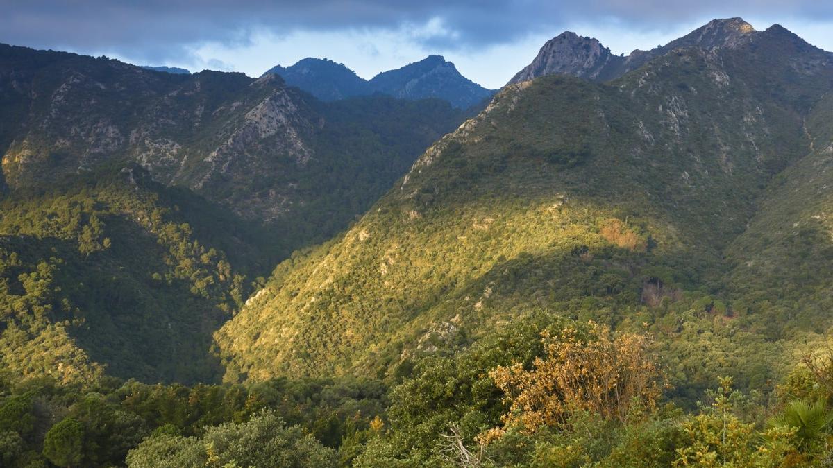 Parque Sierra de las Nieves